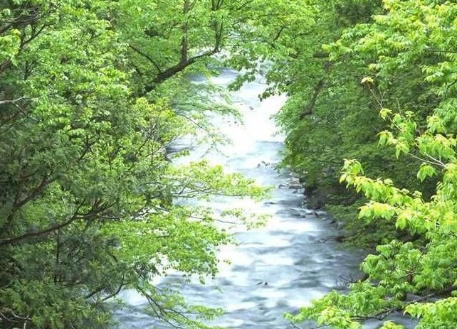 [宜宾]芙蓉山