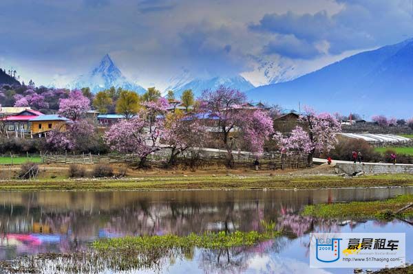 波密5桃花沟风景区.jpg