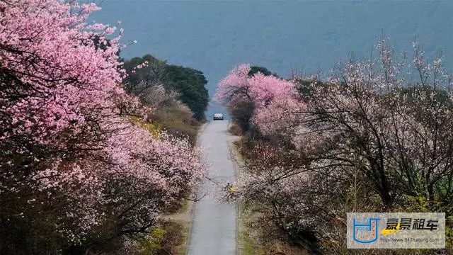 成都租车去拉萨提前预定很必要