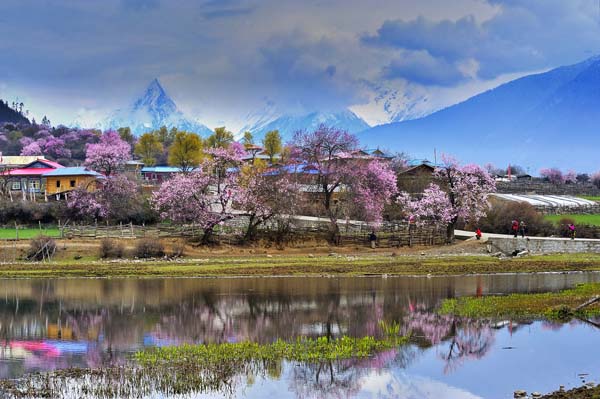 波密·桃花沟风景区.jpg